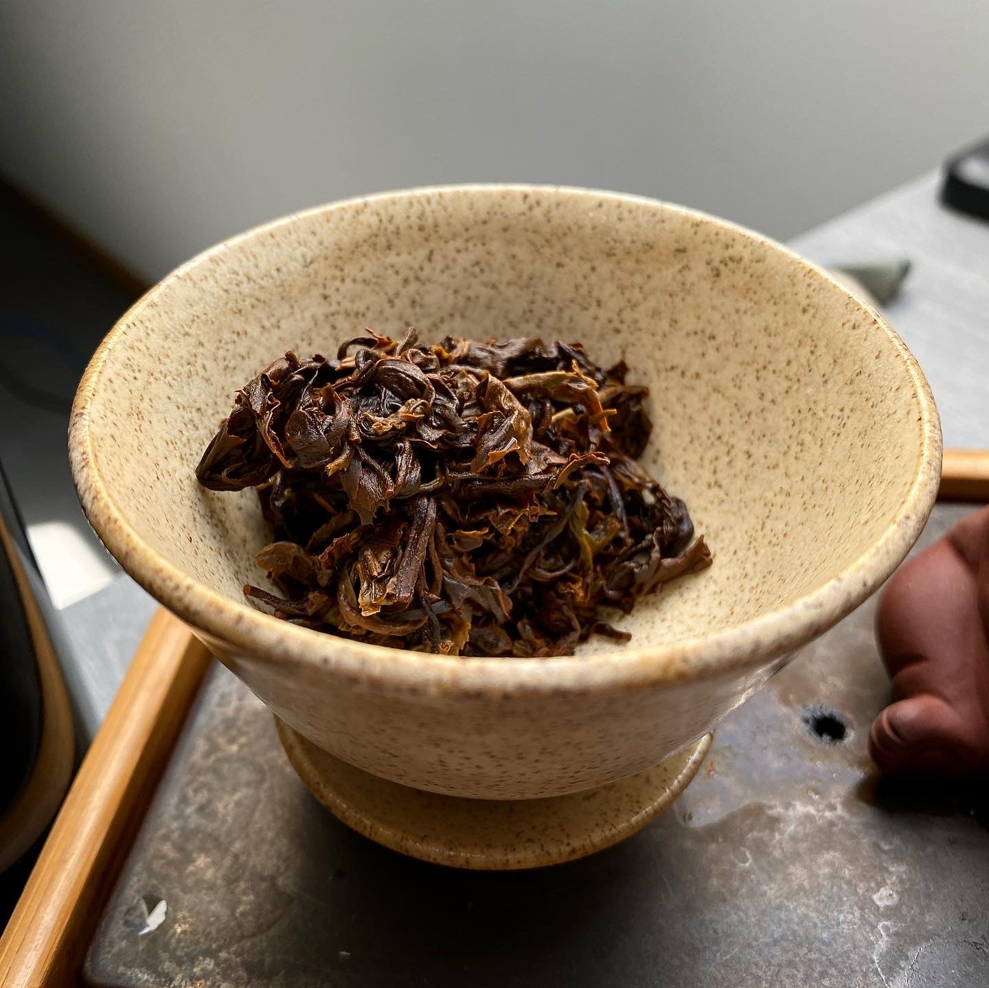 Sakura Gaiwan, in use